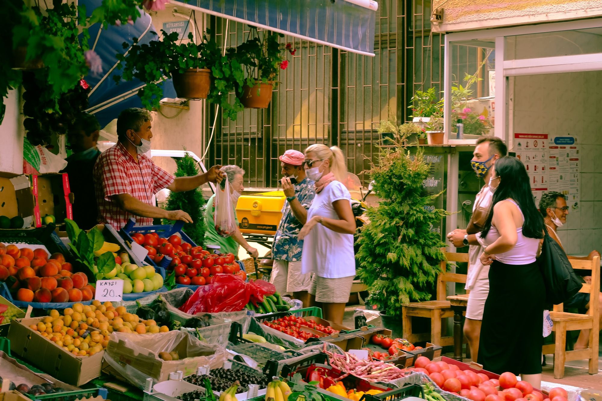 Alimentación y fertilidad 2